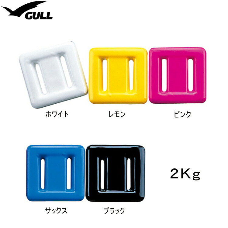 市場 GULL カラーウエイト GG-4691 COLOR 2Kg