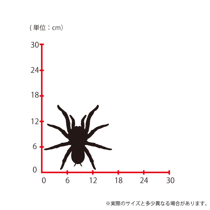 楽天市場 ウォールステッカー Mサイズ クモ スパイダー 糸 蜘蛛の巣 蜘蛛の巣 スイッチ コンセント 小さい 人気 かわいい 面白い シルエット シール Diy デコレーション 転写 インテリア 剥がせる リフォーム プレゼント 飾り付け インテリア 子供部屋 壁紙シール Mic