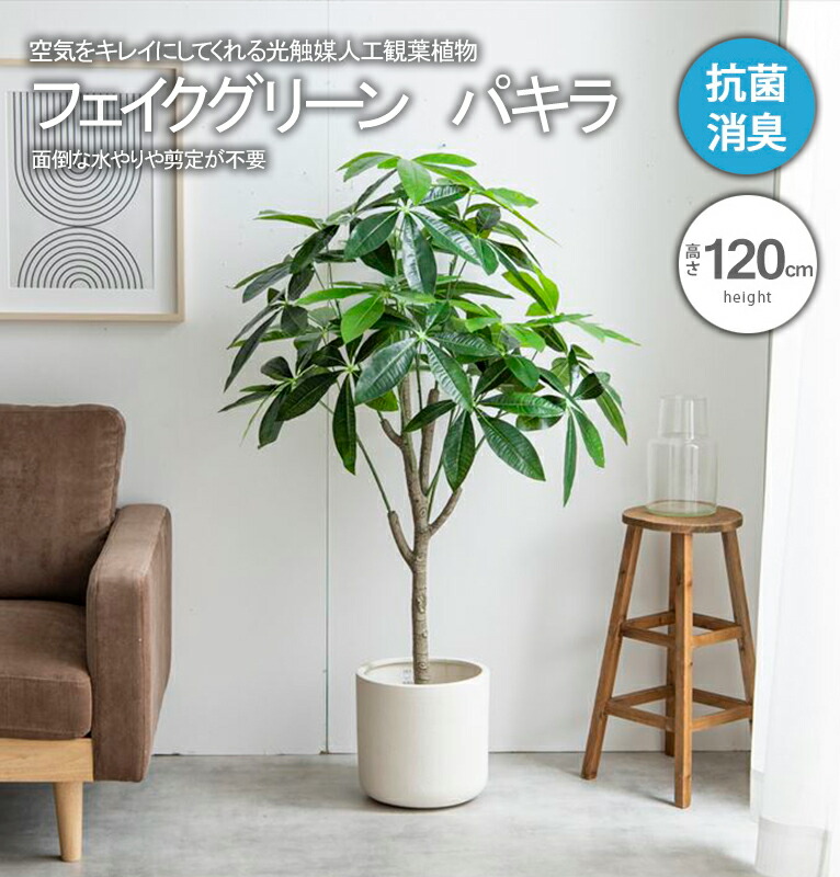 光触媒　人工観葉植物　ウォールグリーン　フェイクグリーン　パキラ15767 光触媒 人工観葉植物 ウォールグリーン フェイクグリーン パキラ