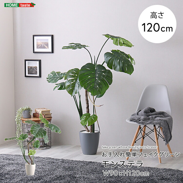 楽天市場】モンステラ フェイクグリーン 高さ180cm 観葉植物