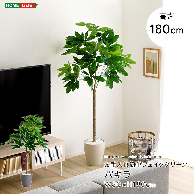 楽天市場】パキラ フェイクグリーン 高さ180cm 観葉植物