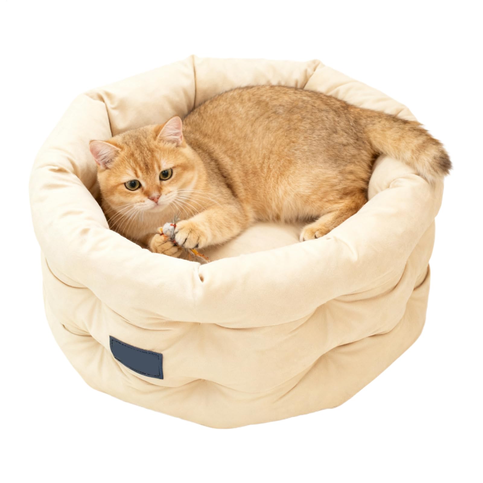 猫用臥榻 愛玩動物臥榻 犬 猫 ラウンド型 座布団 ふわふわ 丸洗い能力のある 上滑り打ち切り付き添い人 オール時節 好いたらしい 寒さ打つ手 ベージュ 差しわたし48糎