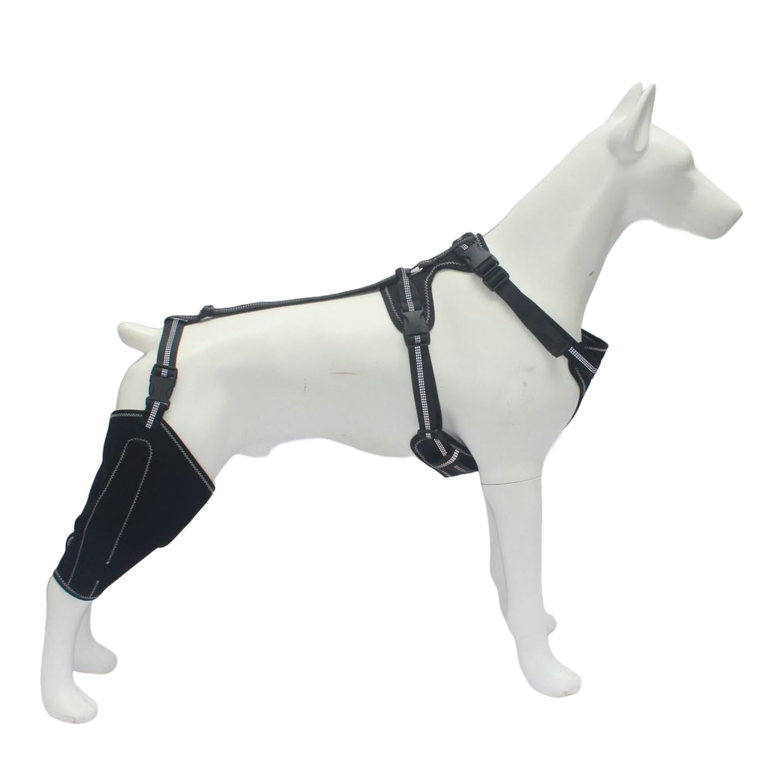 犬用 レッグブレース うしろ足用 支持者 蝶つがい保護すること 膝 受け支える ほっつき歩く 助けること 馬具付き添い人 作り付ける飾り気の無い 好いたらしい 介護備品