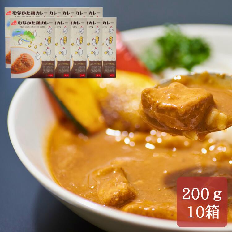 レトルトカレー 200g ×10箱  むなかた鶏 カレー 中辛 レトルト食品 カレーライス ブランド鶏 福岡 絶品 お取り寄せ グルメ 送料無料