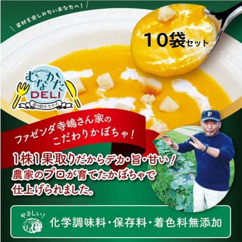 かぼちゃ スープ 150g ×10袋 【冷凍】 国産 濃厚 カボチャ ポタージュ 冷凍食品 バーベキュー BBQ 簡単 ギフト お取り寄せ 送料無料 無添加 野菜スープ ハロウィーン