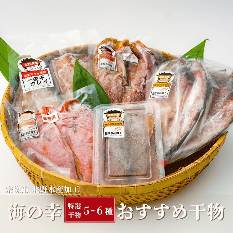 【限定クーポン配布中】北野水産 特選干物詰め合わせ（5～6種）【冷凍】 干物セット お歳暮 お中元 ギフト 詰め合わせ おかず 酒の肴 お祝いお取り寄せ グルメ おつまみ バーベキュー BBQ キャンプ 父の日 母の日 贈り物 プレゼント 魚介類 海産物 海の幸 送料無料