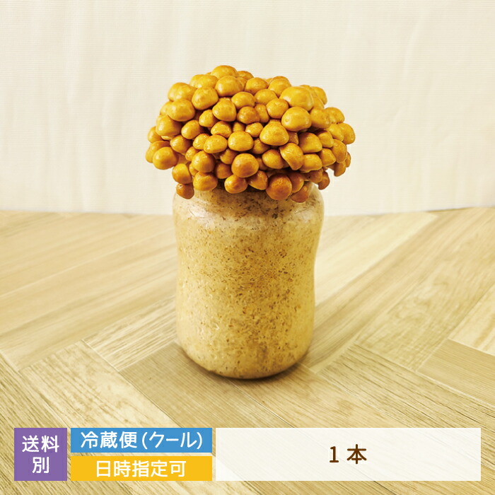 なめこ栽培キット ご当地なめこ 根付 まとめ売り なめこ栽培キット ご当地なめこ 根付 まとめ売り