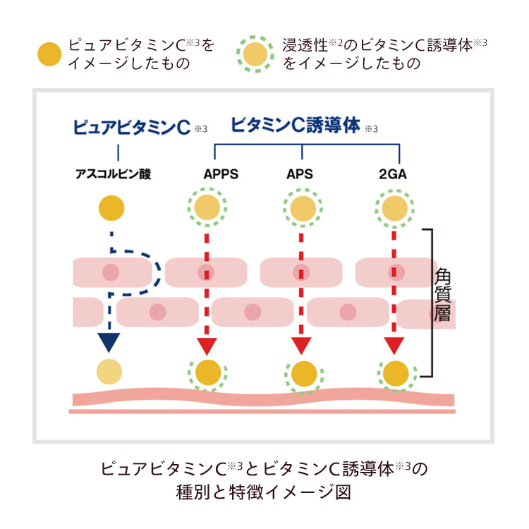 格安即決 高濃度ビタミンc美容液 C C Labo プレミアムセラム ml 2本セット ビタミンc誘導体 ビタミンc 美容液 Apps セラム ビタミンc誘導体 毛穴 たるみ 美容液 引き締め ピュアビタミンc 保湿 しっとり ハリ スキンケア Apps 無添加 ビタミンc セラム 毛穴ケア