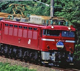 ※新製品 6月発売※ EF81形（青森車両センター 双頭形連結器付） 【TOMIX・7120】 「鉄道模型 Nゲージ TOMIX」