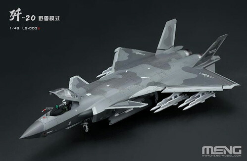 1/48 中国ステルス戦闘機 J-20 ビーストモード|ツルマイ模型