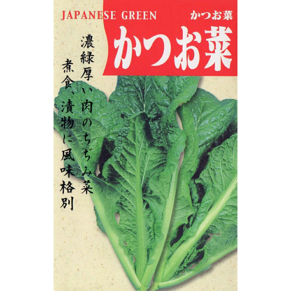 【冷蔵便】芥蓝/芥藍/カイラン/カナー/朝採り/千葉県産/約3kg入 51NdkwNWRdL._AC_SY200_QL15_.jpg