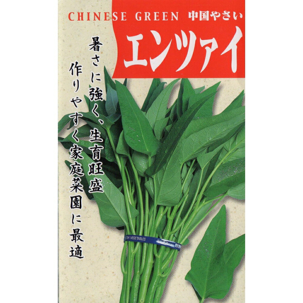 【冷蔵便】芥蓝/芥藍/カイラン/カナー/朝採り/千葉県産/約3kg入 Amazon.co.jp: 日光種苗 カイラン（芥藍）のタネ ［1852］ : DIY