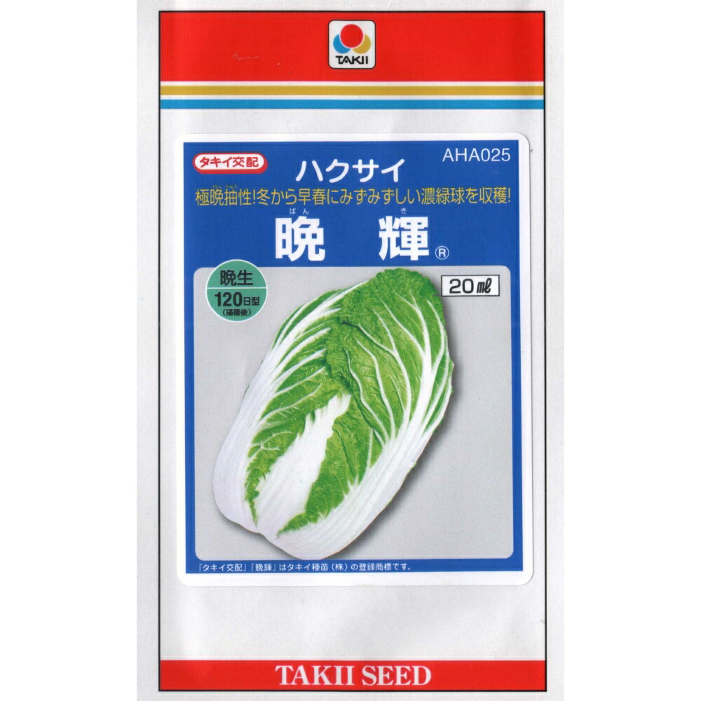 はくさい。購入しないでください。 はくさい。購入しないでください。 楽天市場】白菜 黄 90の通販