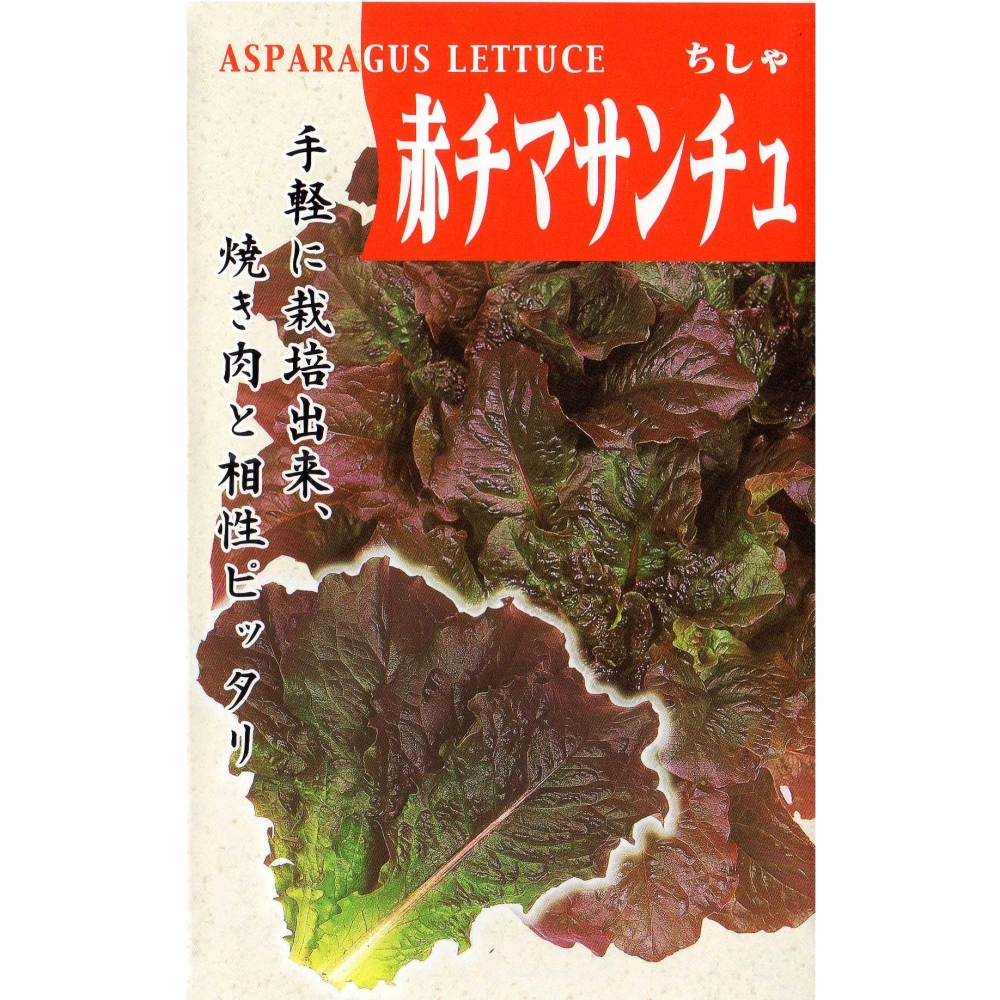【冷蔵便】芥蓝/芥藍/カイラン/カナー/朝採り/千葉県産/約3kg入 51NdkwNWRdL._AC_SY200_QL15_.jpg