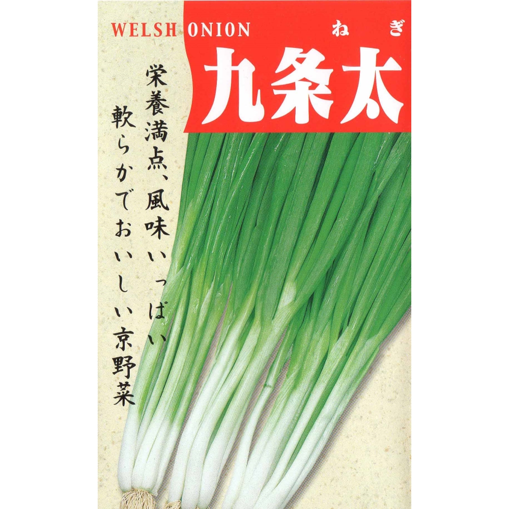 ひひひページ‼️九条ネギ12キロ 商品詳細｜ベルクお届けパック