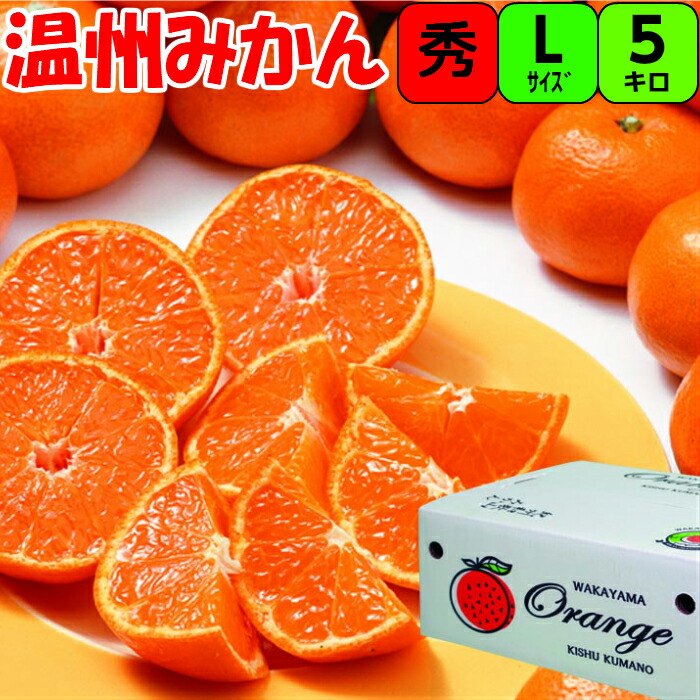 人気サイズ‼️少し早い木熟南高梅　秀品Lサイズ　5kg みかんキング 送料無料】木熟みかん（S～Mサイズ） 5kg 紀州梅干し・みかんのJA