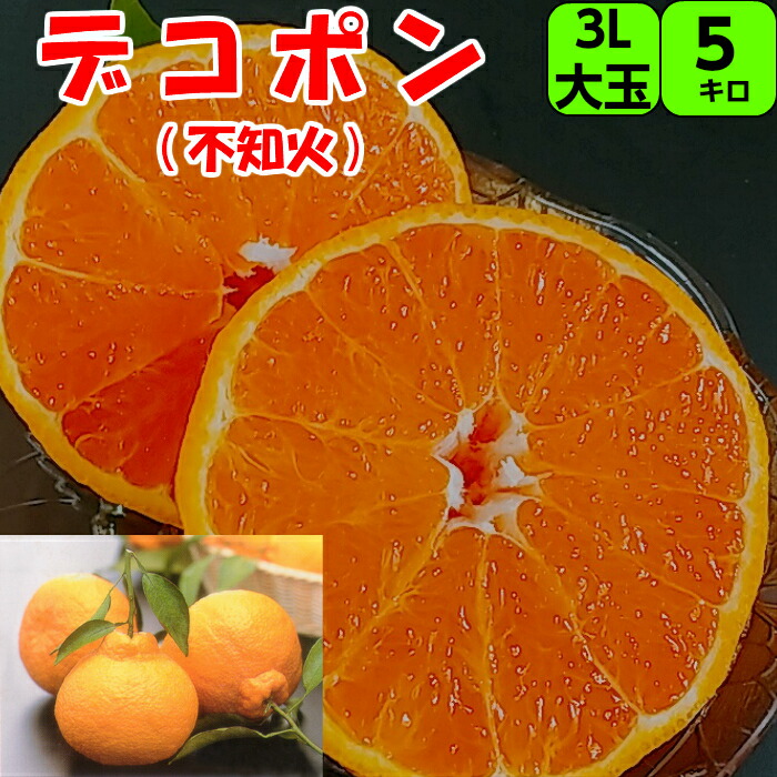 楽天市場】みかん 不知火 ( 通称 デコポン ) 樹熟完熟【秀品】5kg L 又