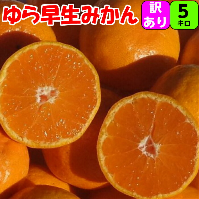 楽天市場】ゆら早生 みかん 3kg S 又は 2S サイズ 【秀品】 送料無料