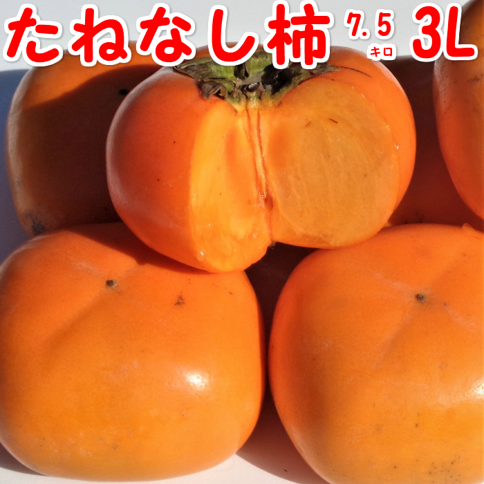 楽天市場 たねなし 柿 3l サイズ 7 5kg 秀品 大玉 送料無料かき カキ 種なし柿 平核無柿 刀根柿 あわせ柿 和歌山 甘い 大玉 お歳暮 御歳暮 ギフト 贈答用 みどり果実 楽天市場店