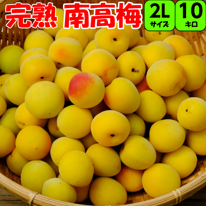 楽天市場】【送料無料】予約販売/数量限定 【秀品】3Lサイズ 10kg