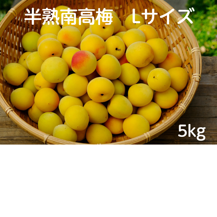 和歌山　完熟　南高梅　5kg