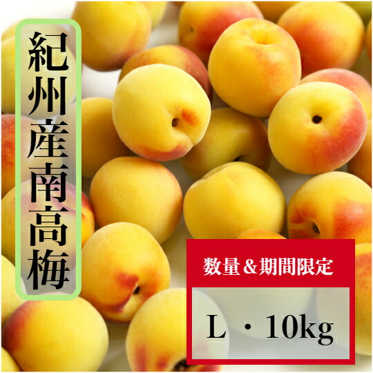 好きに 楽天市場】南高梅 【完熟梅】5kg 3Lサイズ（大粒) 送料無料 フルーツ・果実