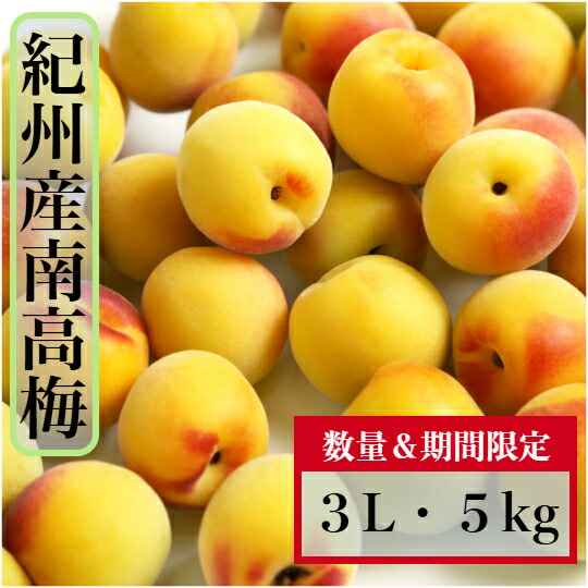  特価ブログのポータルサイト 楽天市場】南高梅 【中熟梅】熟梅 秀品 2L サイズ 5kg (中粒 果物