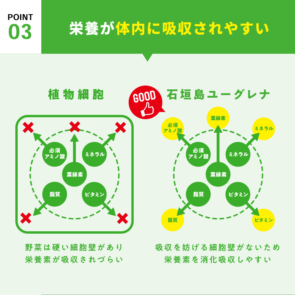 楽天市場 からだにユーグレナ プラス Green Capsule 180粒入り 2袋セット ミドリムシ サプリ サプリメント みどりむし ユーグレナ パラミロン 健康食品 栄養素 Dha Epa アミノ酸 鉄 鉄分 ビタミン ミネラル 食物繊維 乳酸菌 栄養補助食品 タブレット 男性 女性