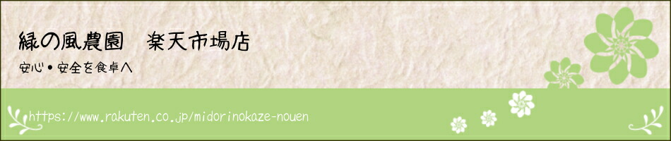 �Ф������ࡡ��ŷ�Ծ�Ź��������¤�ΰ¿������ο��ʤ���ؤ��Ϥ��������ޤ���