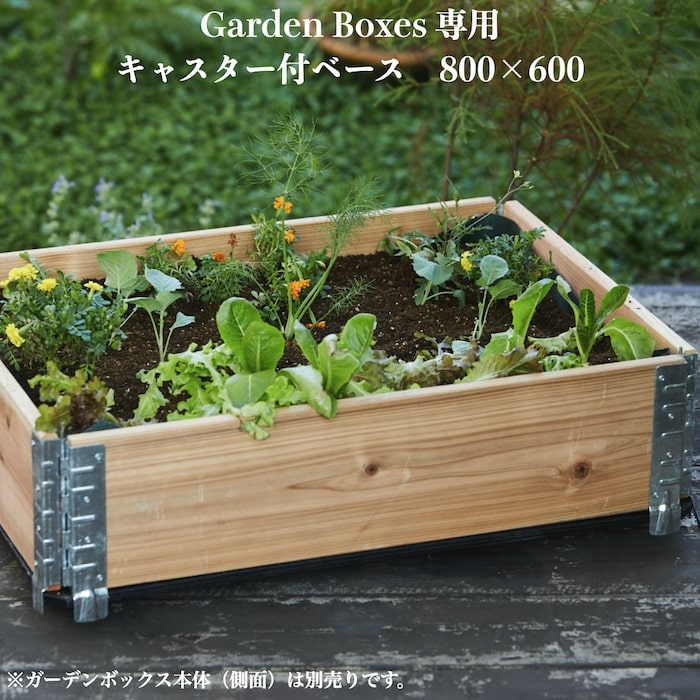 楽天市場】ガーデンボックス 1200×800 ナチュラル a+ design garden