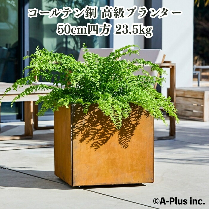 コールテン鋼 高級植木鉢 おしゃれ 大型 スクエア 50cm四方 アンティーク 経年美 Patina スクエアプランターL500 A-PLUS 屋外 観葉植物 多肉植物 サボテン シンボルツリー 寄せ植え 花 鉢カバー 北欧 モダン 玄関 庭 パティナ｜クラピア・観葉植物専門店ミドリス
