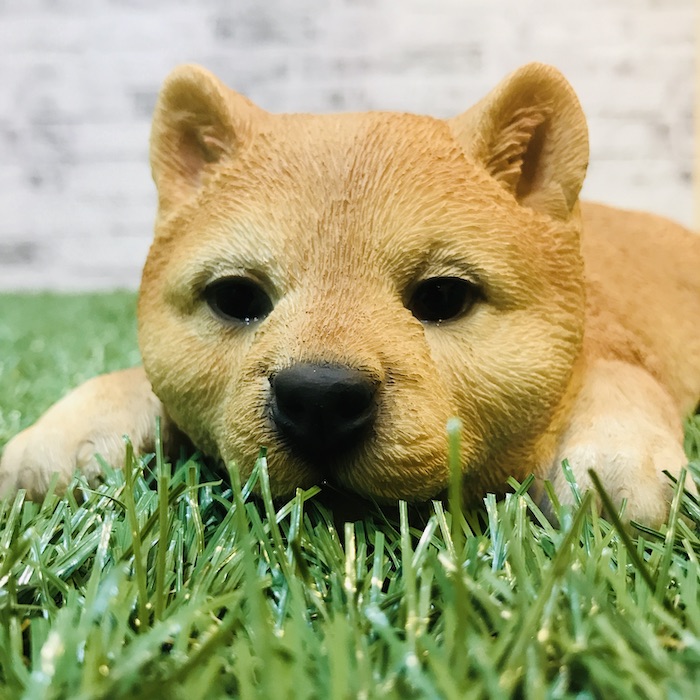 楽天市場 うたた寝柴犬 子犬のオブジェ 猫 置物 可愛い リアル アニマルオブジェ インテリア かわいいネコ 動物 子猫 仔猫 ガーデンオーナメント 玄関先 庭 雑貨 豆柴 ミドリス 楽天市場店