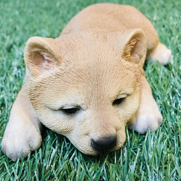 楽天市場 うたた寝柴犬 子犬のオブジェ 猫 置物 可愛い リアル アニマルオブジェ インテリア かわいいネコ 動物 子猫 仔猫 ガーデンオーナメント 玄関先 庭 雑貨 豆柴 ミドリス 楽天市場店