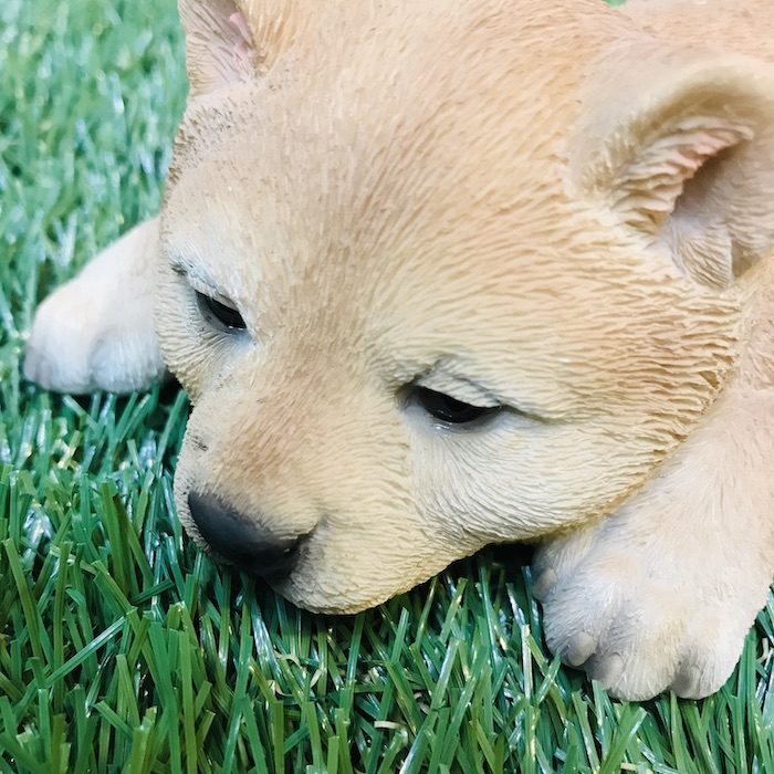 楽天市場 うたた寝柴犬 子犬のオブジェ 猫 置物 可愛い リアル アニマルオブジェ インテリア かわいいネコ 動物 子猫 仔猫 ガーデンオーナメント 玄関先 庭 雑貨 豆柴 ミドリス 楽天市場店