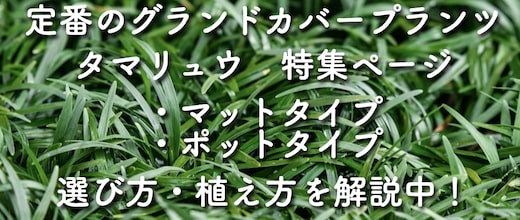 楽天市場】強力 除草剤 ネコソギクイックプロFL 液体 ５リットル