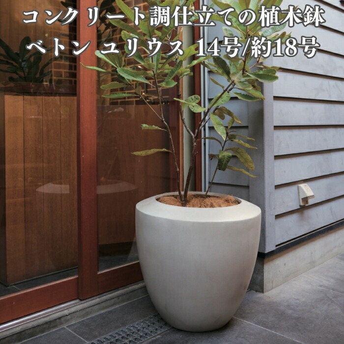植木鉢 おしゃれ 大型 18号 14号 L M サイズ 鉢カバー KONTON コントン ベトン ユリウス 丸型 ラウンド ファイバーセメント セメント 屋外 室内 高級 北欧 モダン ナチュラル 観葉植物用 シンボルツリー サボテン 多肉植物 特大 玄関 プランター サンドグレー｜クラピア・観葉植物専門店ミドリス