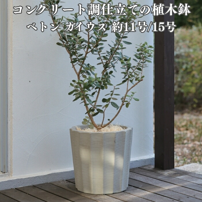 今めかしいな鉢50類概念！超大型～中型まで真四角・矩形・丸型など室外室内別に厳選
