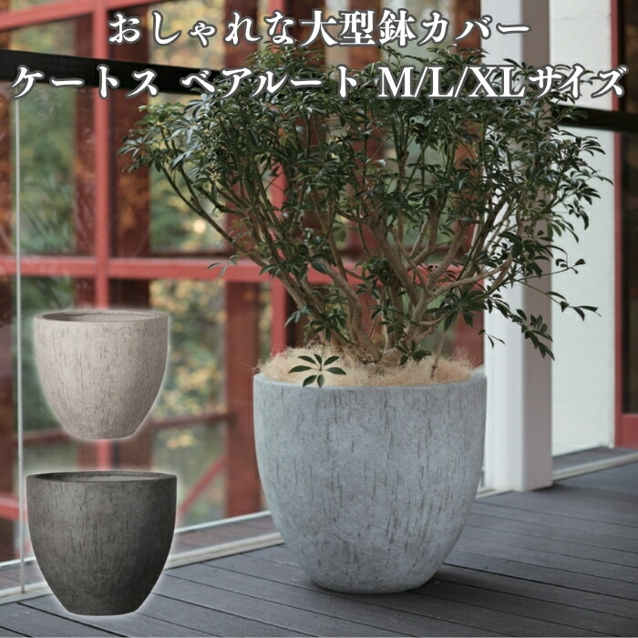 鉢カバー おしゃれ 大型 20号 17号 13号 丸型 ケートス ベアルート XL L M サイズ 高級 北欧 室内 屋内 観葉植物用 サボテン 特大 玄関 インテリア プランター 深型
