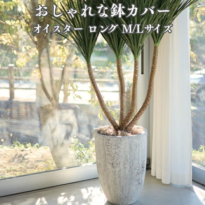 今めかしいな鉢50類概念！超大型～中型まで真四角・矩形・丸型など室外室内別に厳選