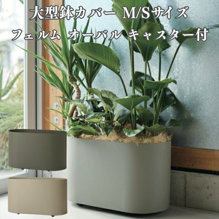 今めかしいな鉢50類概念！超大型～中型まで真四角・矩形・丸型など室外室内別に厳選