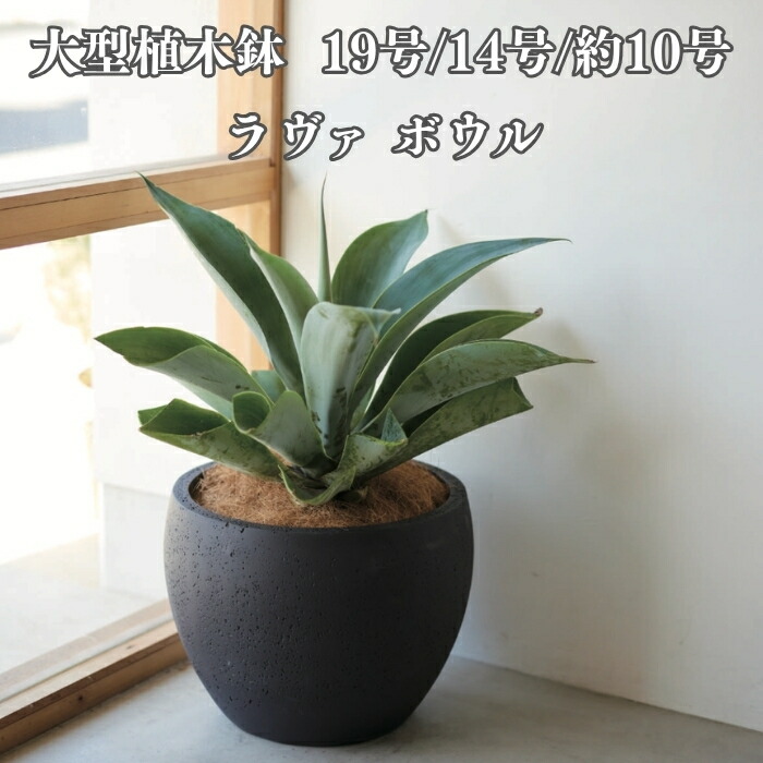 今めかしいな鉢50類概念！超大型～中型まで真四角・矩形・丸型など室外室内別に厳選