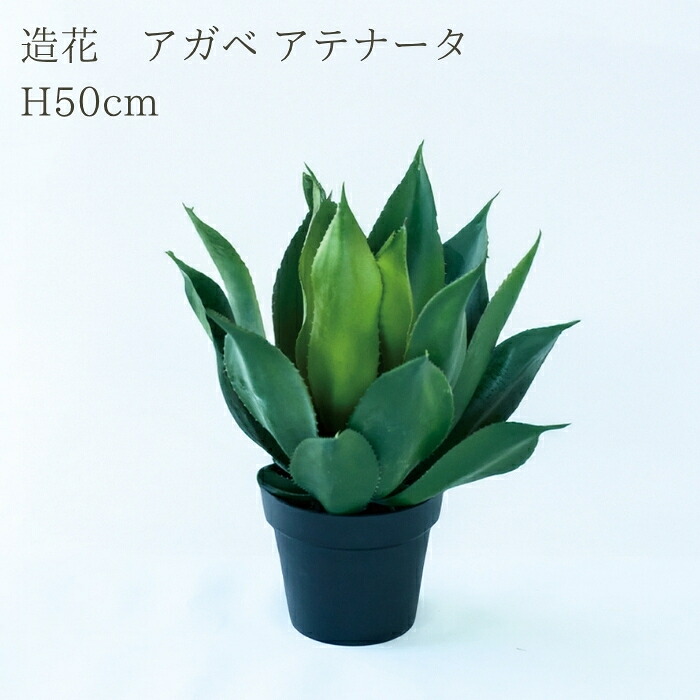 観葉植物 造花 アガベ アテナータ BROWN 全高約50cm 卓上・小型 フェイクグリーン 本物そっくり おしゃれ インテリア 人工観葉植物 アーティフィシャルグリーン オフィス 店舗 ホテル 開店祝い 室内 ミニ 多肉植物 フェイク｜クラピア・観葉植物専門店ミドリス