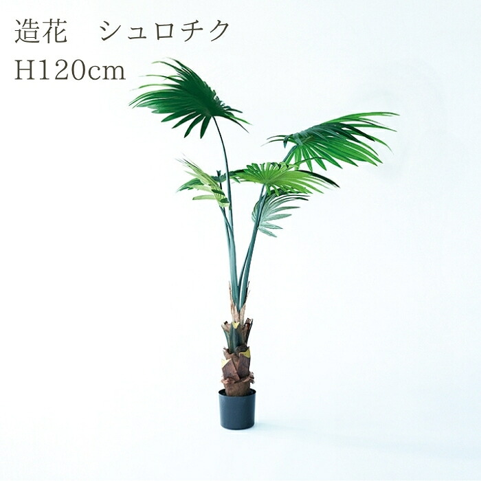 観葉植物 造花 シュロチク BROWN 全高約120cm 大型 フェイクグリーン 本物そっくり おしゃれ インテリア 人工観葉植物 アーティフィシャルグリーン オフィス 店舗 ホテル 開店祝い 室内 棕櫚竹 ヤシ フェイク｜クラピア・観葉植物専門店ミドリス