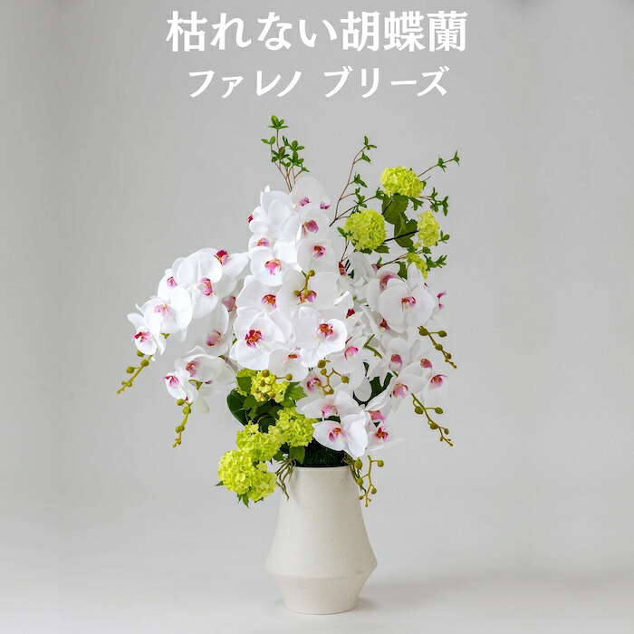 今めかしいな鉢50類概念！超大型～中型まで真四角・矩形・丸型など室外室内別に厳選