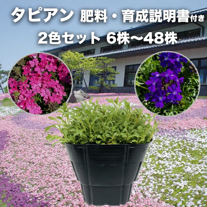 今めかしいな鉢50類概念！超大型～中型まで真四角・矩形・丸型など露天室内別に厳選