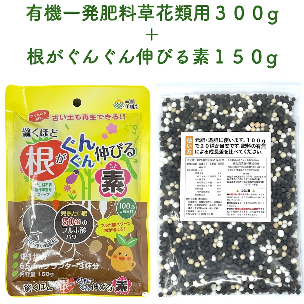 楽天市場】ハイポネックス マグァンプK 中粒 250g プランター5個分 クラピア K7 K5 S2 S1にも使える 肥料 グランドカバー 送料無料  元肥 効果が1年間続く : ミドリス 楽天市場店