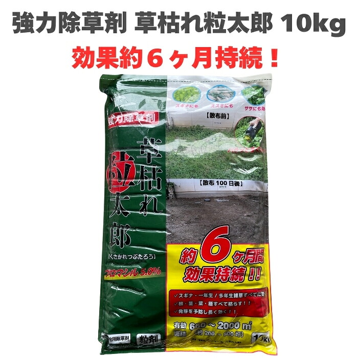 今めかしいな鉢50類概念！超大型～中型まで真四角・矩形・丸型など室外室内別に厳選