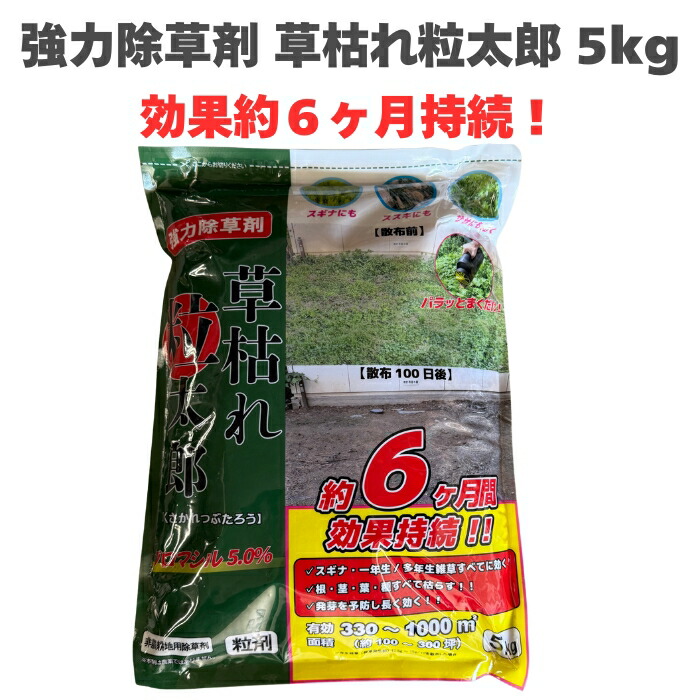 今めかしいな鉢50類概念！超大型～中型まで真四角・矩形・丸型など室外室内別に厳選