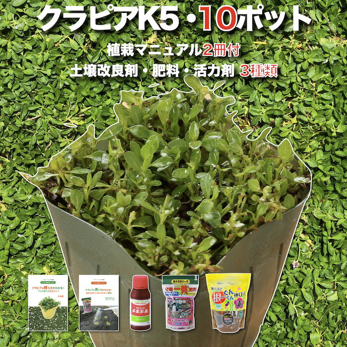 楽天市場】驚くほど根がぐんぐん伸びる素 500g×2袋 堆肥 たい肥 観葉植物 お花の苗 プランター フルボ酸 園芸用 グランドカバー 土壌改良  ガーデニング 畑 野菜 作物 肥料 家庭菜園 農業 農作物 発根 : クラピア・観葉植物専門店ミドリス