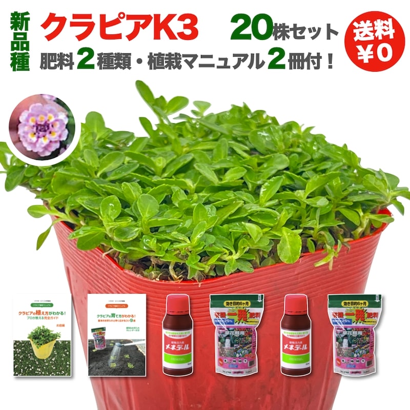 楽天市場 グランドカバー植物 クラピア 玉竜 芝桜 ミドリス 楽天市場店